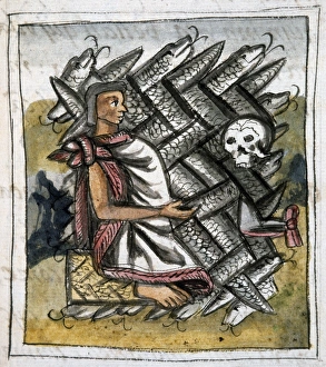 Snakes (representing life) and a skull, representing the duality of life and death Snakes (representing life) and a skull, representing the duality of life and death
