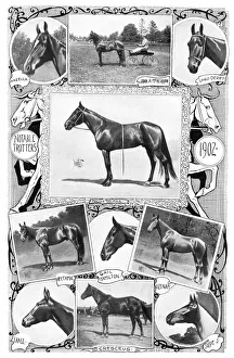 TROTTER RACEHORSES, 1902. Notable trotters. Photographs and illustrations, 1902 TROTTER RACEHORSES, 1902. Notable trotters. Photographs and illustrations, 1902