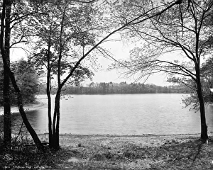 WALDEN: THOREAU'S COVE. A view of Thoreaus Cove, near Henry David Thoreaus hut on Walden Pond WALDEN: THOREAU'S COVE. A view of Thoreaus Cove, near Henry David Thoreaus hut on Walden Pond