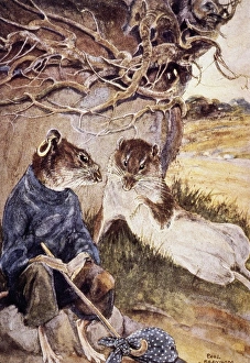 WIND IN THE WILLOWS'. Water Rat & Sea Rat: drawing by Paul Bransom from 1st edition WIND IN THE WILLOWS'. Water Rat & Sea Rat: drawing by Paul Bransom from 1st edition