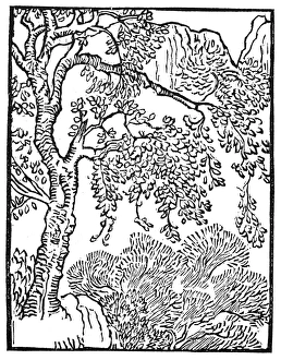 A WOODED MOUNTAIN SCENE. Woodcut by Aristide Maillol, c1913, for Vergils Eclogues A WOODED MOUNTAIN SCENE. Woodcut by Aristide Maillol, c1913, for Vergils Eclogues