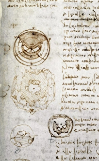 Writing and drawings by Leonardo da Vinci, illustrating the theory that the earth has a Writing and drawings by Leonardo da Vinci, illustrating the theory that the earth has a