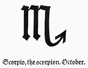 ZODIAC: SCORPIO. Zodiacal symbol for Scorpio, the scorpion ZODIAC: SCORPIO. Zodiacal symbol for Scorpio, the scorpion