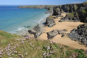 Prints of The Bedruthan Steps on the North Coast of Cornwall near St Eval, on a spring day with the Thrift or Sea Pink out in flower Images Dated 2012 May: Bedruthan Steps Print: Spring Bloom at the Giant's Stairway