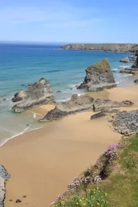 Prints of The Bedruthan Steps on the North Coast of Cornwall near St Eval; on a spring day with the Thrift or Sea Pink out in flower Images Dated 2012 May: Print of The Bedruthan Steps at St Eval, Cornwall in Spring