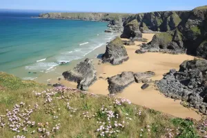 Prints of The Bedruthan Steps on the North Coast of Cornwall near St Eval; on a spring day with the Thrift or Sea Pink out in flower Images Dated 2012 May: Print of The Bedruthan Steps on a Spring Day with Thrift in Bloom