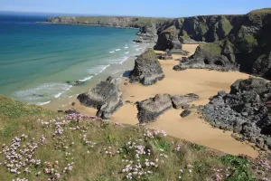 Prints of The Bedruthan Steps on the North Coast of Cornwall near St Eval; on a spring day with the Thrift or Sea Pink out in flower Images Dated 2012 May: Print of The Bedruthan Steps on a Spring Day with Thrift in Bloom