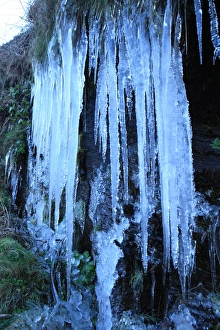 Boscastle Harbour Icicles Print