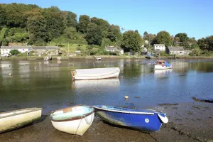 Cornwall Prints: Autumn Scene Print of Lerryn Village in Cornwall