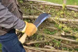 Prints of Philip Godwin Hedge laying Craft Prints: Hedging Print: A Philip Godwin Hedge Laying Craft