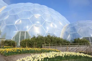 Eden Project Print: Early Spring Scene Outside Tropical Biome