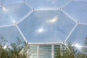 Eden Project Print: A 30-Pitch Tropical Biome Landscape