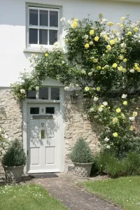 Prints of A house with roses around the door in the village of Haddenham Buckinghamshire Haddenham Prints: Haddenham Village Print with Roses
