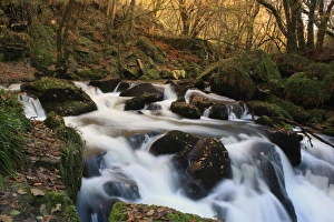 Cornwall Landscape Photography Prints: Golitha Falls
