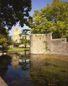 Prints of The Cathedral reflected in the moat around the Bishops Palace at Wells in Somerset Well Prints: Wells Cathedral Print Reflected in Moat