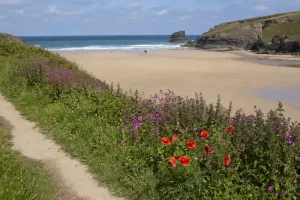 Print of Porthcothan near Padstow, North Cornwall