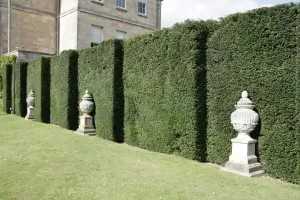 Images Dated 2007: Buscot Park Print: Statues in the Gardens