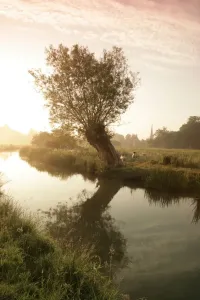 Cotswolds Landscape Photography Prints: The Cotswolds