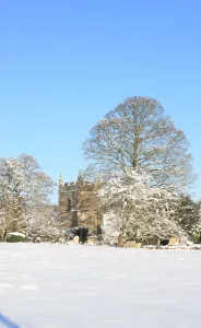 Tree Prints: Print of Upper Slaughter Church in Winter