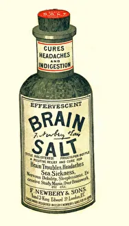 1890s UK brain salt headaches humour medicine indigestion medical 1890s UK brain salt headaches humour medicine indigestion medical