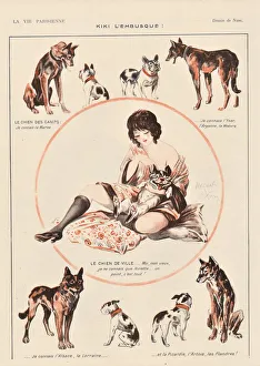 Vintage Dog Illustration Prints: 30586726