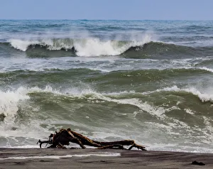 A sea-borne log on the beach at Hokitika in West Coast, New Zealand A sea-borne log on the beach at Hokitika in West Coast, New Zealand