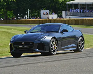 Motorsport galleries/motorsport archive 2019 goodwood festival speed 2019/cj7 9464 graham moss jaguar f type svr Motorsport galleries/motorsport archive 2019 goodwood festival speed 2019/cj7 9464 graham moss jaguar f type svr
