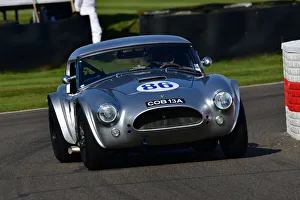 CJ9 8875 Marino Franchitti, Phillip Kadoorie, AC Cobra CJ9 8875 Marino Franchitti, Phillip Kadoorie, AC Cobra
