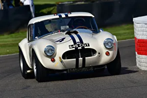 CJ9 8876 Richard Wilson, Marcel Fassler, AC Cobra Le Mans Coupe CJ9 8876 Richard Wilson, Marcel Fassler, AC Cobra Le Mans Coupe