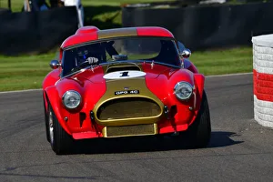 CJ9 8877 Oliver Bryant, Darren Turner, AC Cobra CJ9 8877 Oliver Bryant, Darren Turner, AC Cobra
