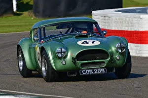 CJ9 8887 Bill Shepherd, Romain Dumas, AC Cobra CJ9 8887 Bill Shepherd, Romain Dumas, AC Cobra