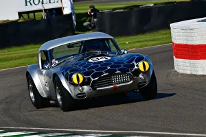 CJ9 8889 Martin Brundle, Bobby Verdon-Roe, AC Cobra CJ9 8889 Martin Brundle, Bobby Verdon-Roe, AC Cobra