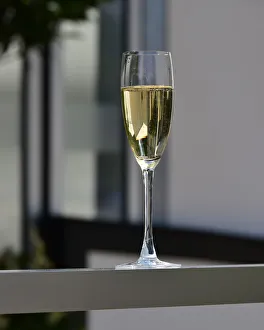 CM24 7769 Champagne CM24 7769 Champagne