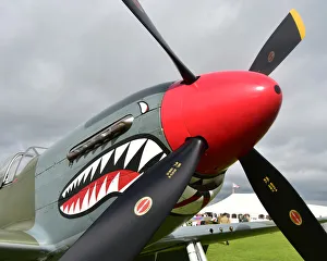 CM25 7841 North American Mustang P51D, G-SHWN CM25 7841 North American Mustang P51D, G-SHWN