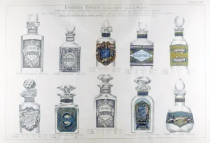 Ten perfume bottles on a velvet cloth, arranged in three rows