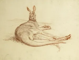 A Lying Kangaroo Print