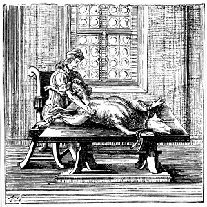 Animal-to-man blood transfusion