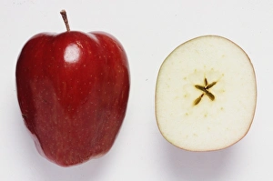 An Apple