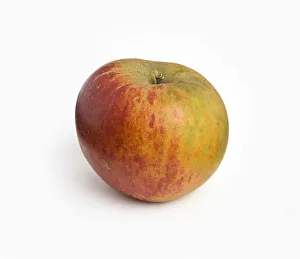 Apple Ribston Pippin, grown in Great Britain Apple Ribston Pippin, grown in Great Britain