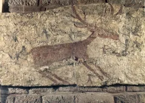 Prints of Prehistory, Turkey, Neolithic. Cave painting depicting a deer. From Catal Huyuk or Catalhoyuk sanctuary, 6th millennium b.C Catal Huyuk Prints: Catalhoyuk Deer Print, 6th Millennium BC