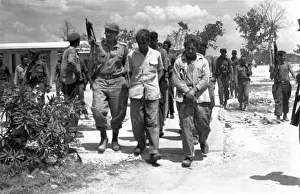 Bay of pigs, 1961, captured mercenaries during the bay of pigs invasion Bay of pigs, 1961, captured mercenaries during the bay of pigs invasion