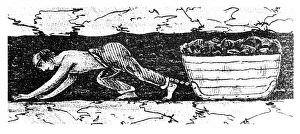 Boy putter dragging a sledge of coal along a narrow seam - South Wales Boy putter dragging a sledge of coal along a narrow seam - South Wales