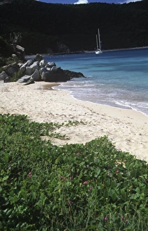 British Virgin Islands, Peter Island, beach British Virgin Islands, Peter Island, beach