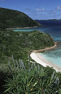 British Virgin Islands, Virgin Gorda, Savannah Bay, tropical vegetation along coast British Virgin Islands, Virgin Gorda, Savannah Bay, tropical vegetation along coast