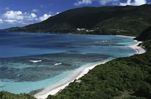 British Virgin Islands, Virgin Gorda, Savannah Bay, tropical vegetation along coast British Virgin Islands, Virgin Gorda, Savannah Bay, tropical vegetation along coast