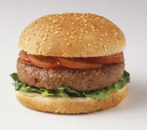 Burger in a Bun with Vegetables