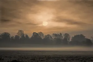 Christ Church Meadows on a misty Autumn morning Christ Church Meadows on a misty Autumn morning