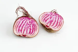 Cross section of beetroot (Chioggia) Cross section of beetroot (Chioggia)