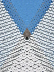 Wire Mesh Print (Evolve) Abstract Visualization