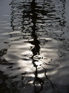 Bare Trees Print - Cherwell River Reflection